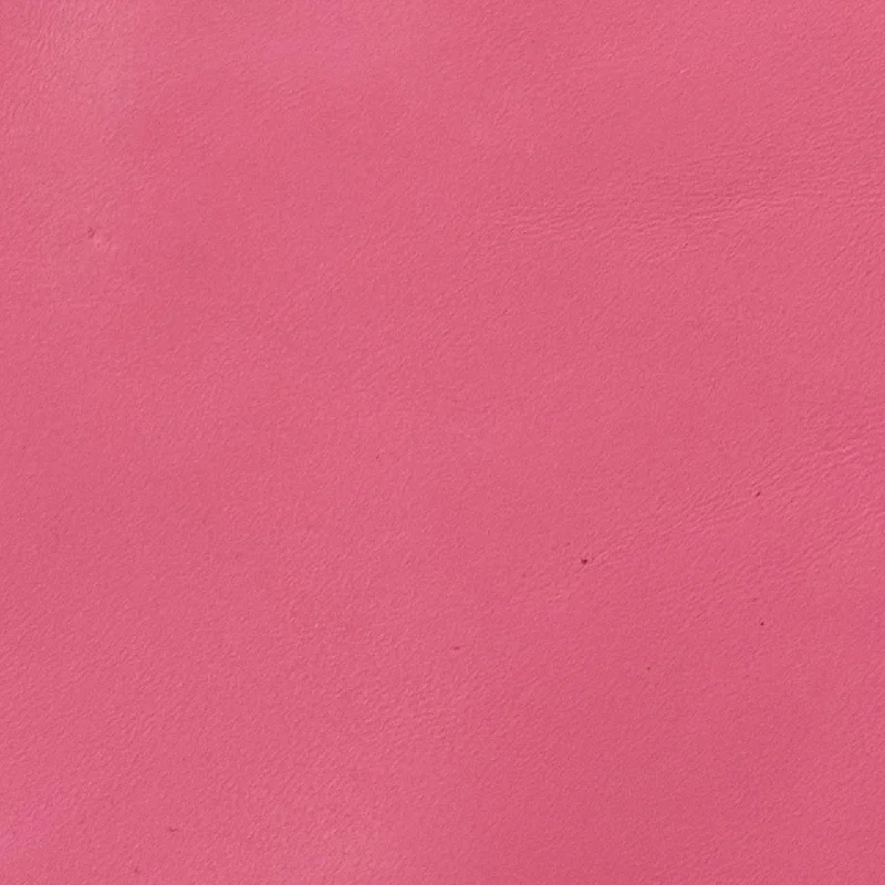 Bold Pink