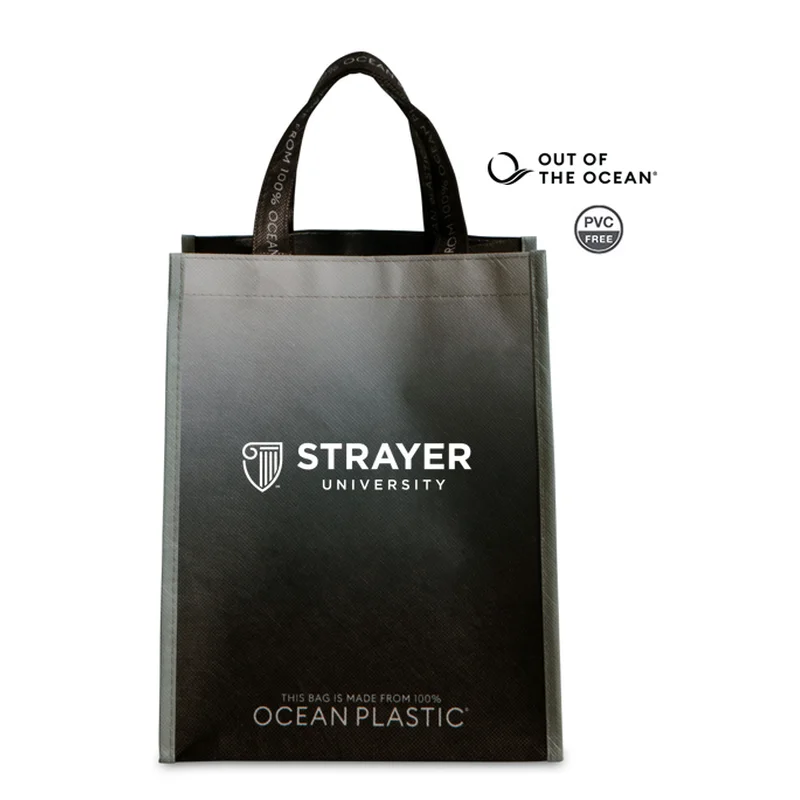 NEW STRAYER Out of the Ocean® Reusable Lunch Shopper - BLACK